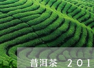 普洱茶 2015/2023031765948